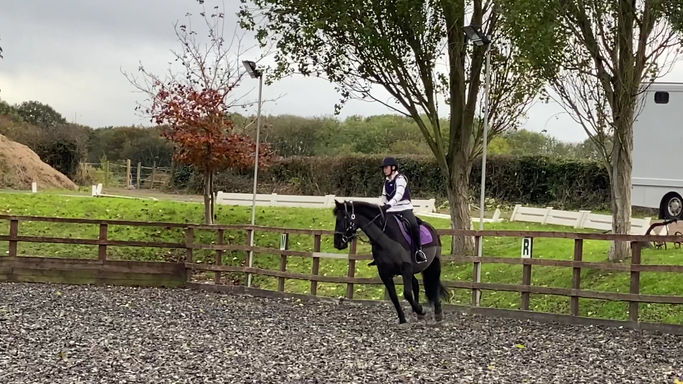 Horse Riding